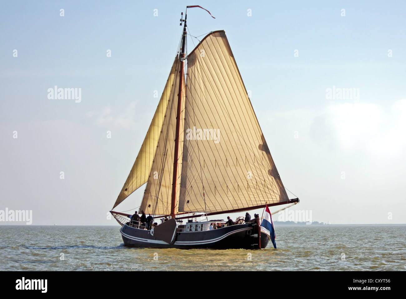 Tradizionale nave a vela sul lago IJsselmeer nei Paesi Bassi Foto Stock