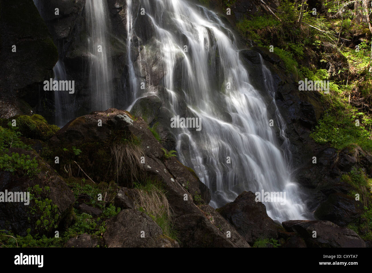 Zweribach cascata sul Kandel montagna nella foresta nera, Baden-Wuerttemberg Foto Stock