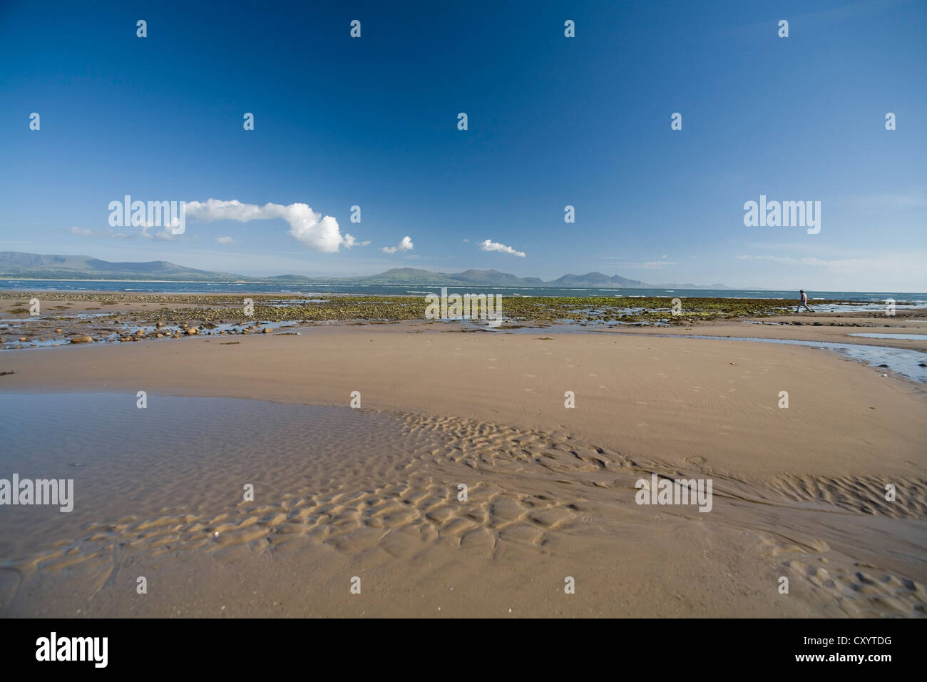 La spiaggia e le dune di sabbia in Anglesey , Wales UK panorami distanti di Snowdonia Foto Stock La spiaggia e le dune di sabbia in Anglesey , Wales UK panorami distanti di Snowdonia Foto Stock