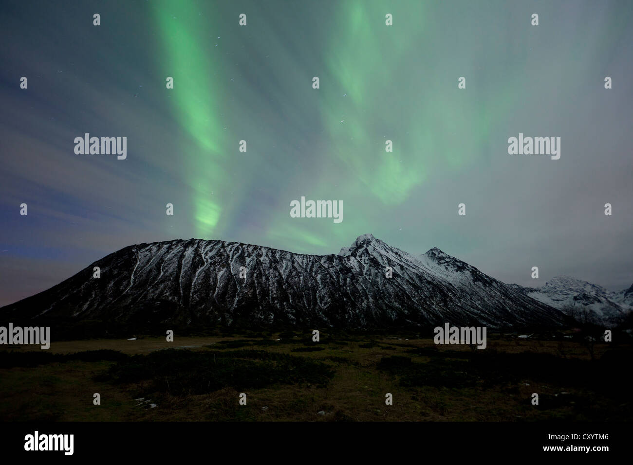 Green Northern Lights, aurora boreale, dietro clous sulle Isole Lofoten in Norvegia, Europa PublicGround Foto Stock