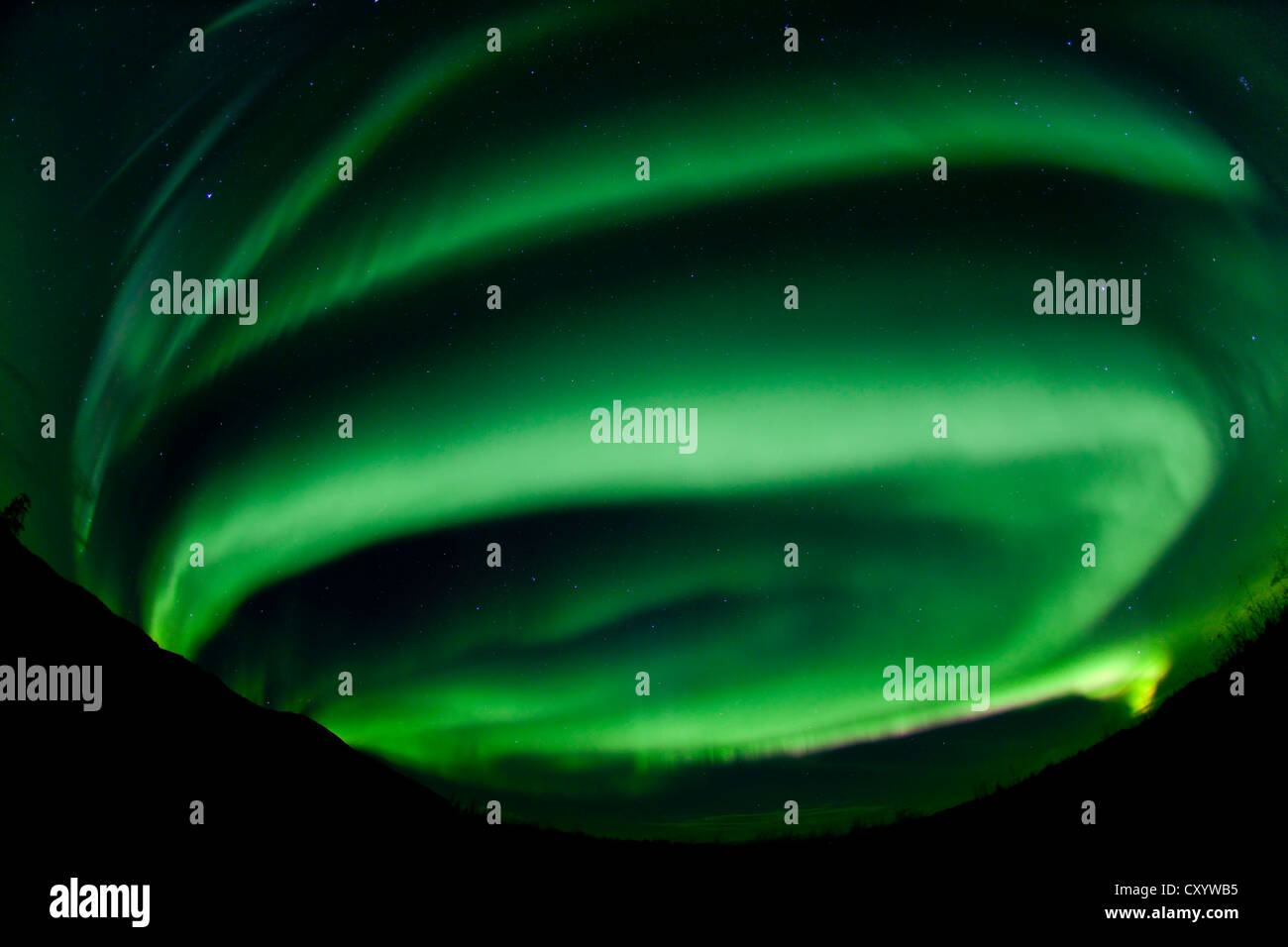 Spirale, verde di vorticazione polare settentrionale luci, Aurora boreale, vicino a Whitehorse, Yukon Territory, Canada Foto Stock