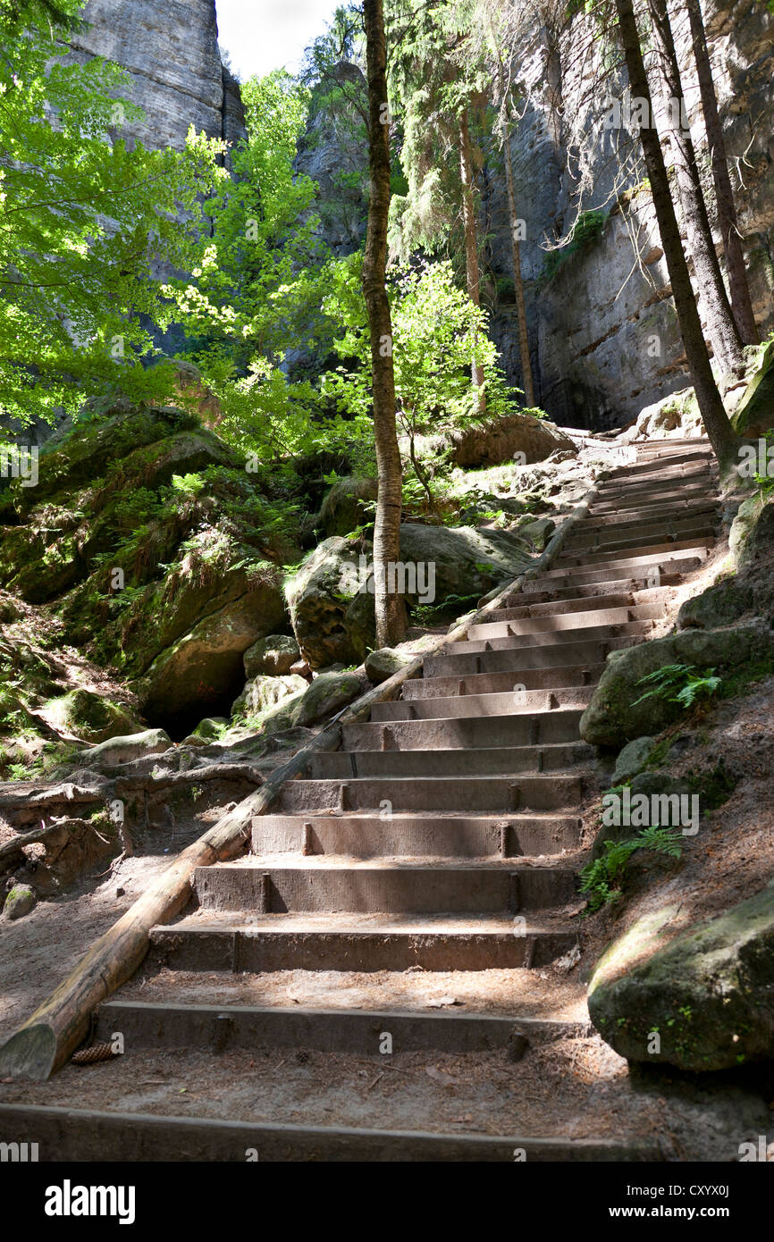 Schwedenloecher percorso escursionistico, scale che portano al bastione, Rathen, Svizzera Sassone, Sassonia Foto Stock