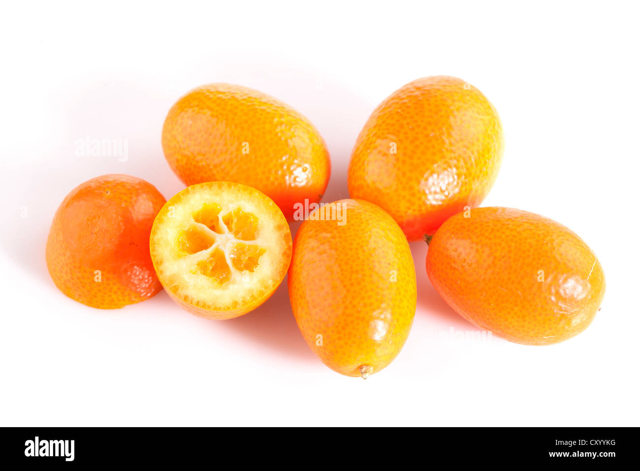 Cumquat ovale, ovale kumquat (Fortunella margarita) Foto Stock