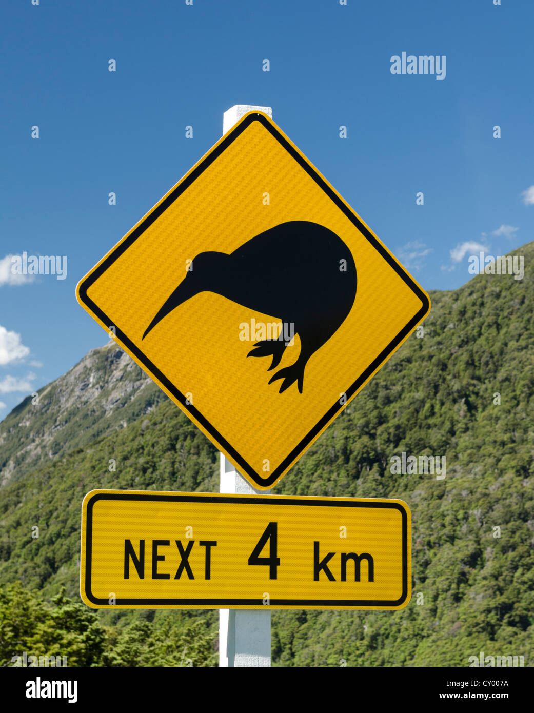 Segnale di avviso, 'Kiwi avanti 4 km', facchini Pass, gamma Craigieburn, Canterbury, Isola del Sud, Nuova Zelanda, Oceania Foto Stock