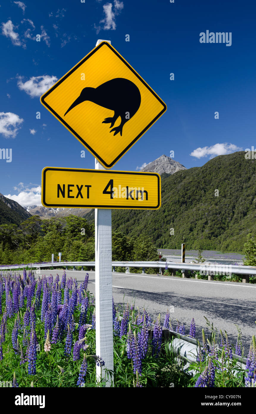 Segnale di avvertimento su una autostrada, 'Kiwi avanti 4 km', facchini Pass, gamma Craigieburn, Canterbury, Isola del Sud, Nuova Zelanda, Oceania Foto Stock