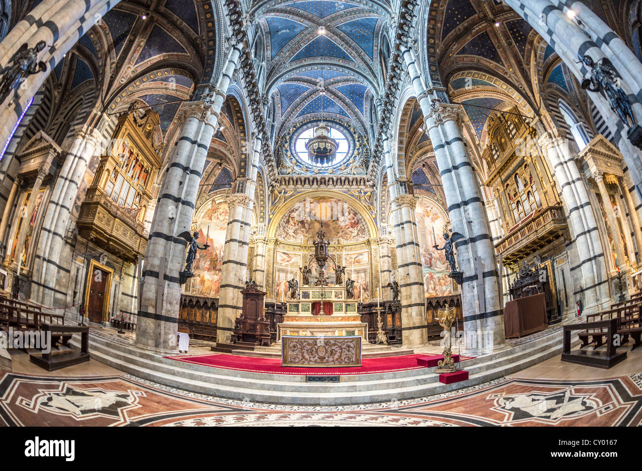 Vista interna, altare, Cattedrale di Siena, Cattedrale di Santa Maria Assunta, la chiesa principale della città di Siena, Toscana Foto Stock