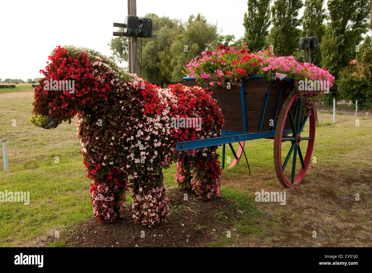 Decorativi ornati Topiaria da fiore a forma di cavallo e carrello Mannequebeurre Saint Marie Kerque Francia Europa Foto Stock