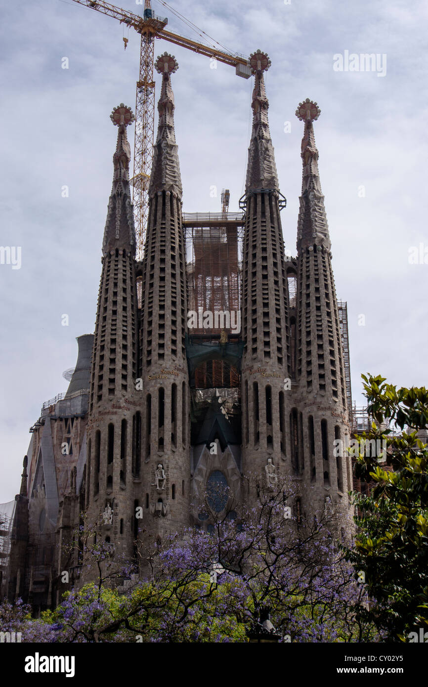 Cattedrale Sagrada Familia progettata da opere di Antoni Gaudì a Barcellona Spagna Foto Stock