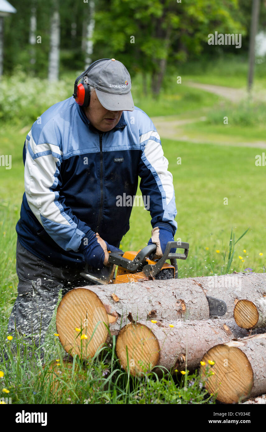 Uomo anziano il taglio di un registro di abete rosso con un chainsaw , Finlandia Foto Stock