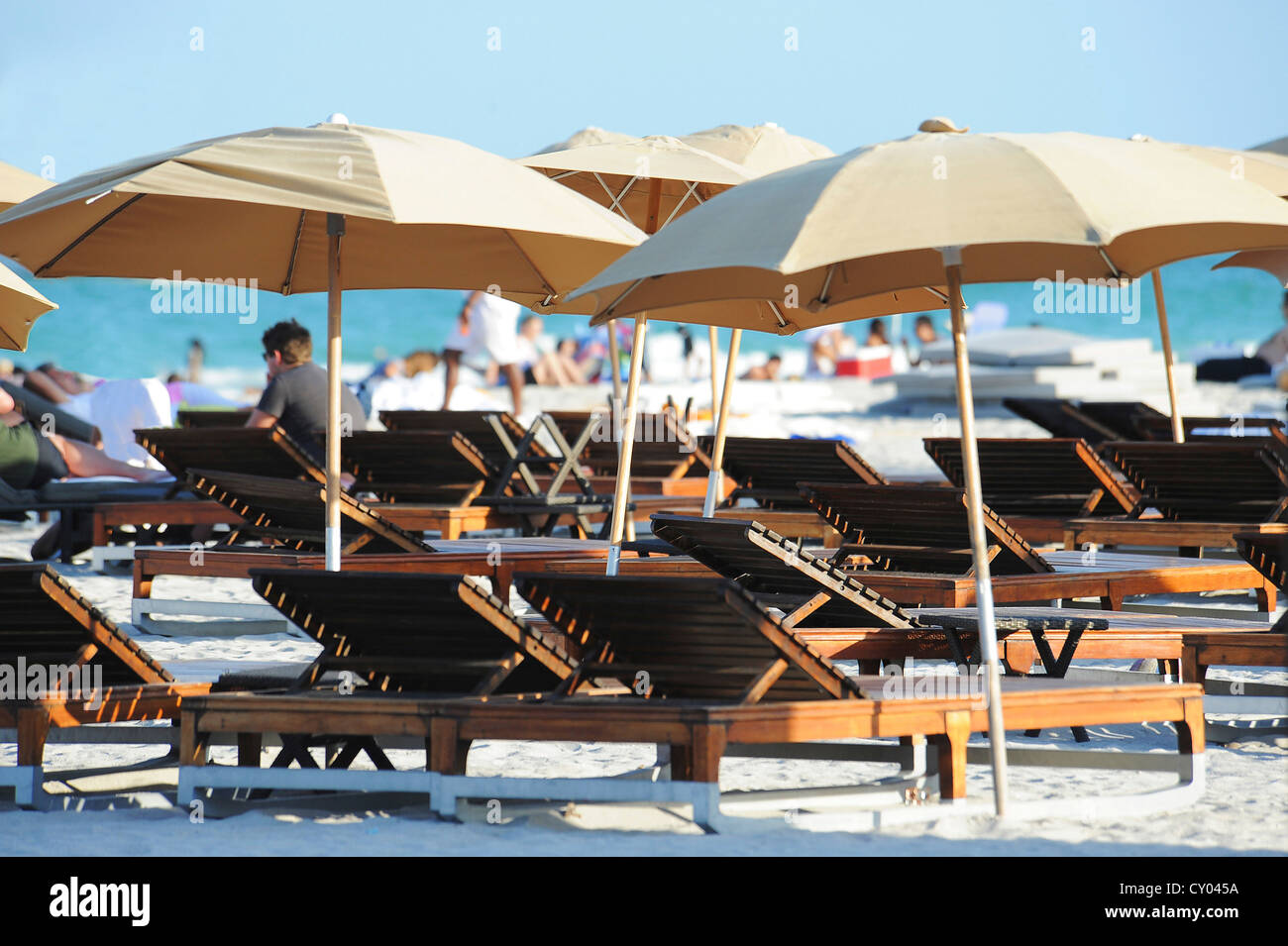 Ombrelloni sulla spiaggia, Miami Beach, Florida, Stati Uniti d'America Foto Stock