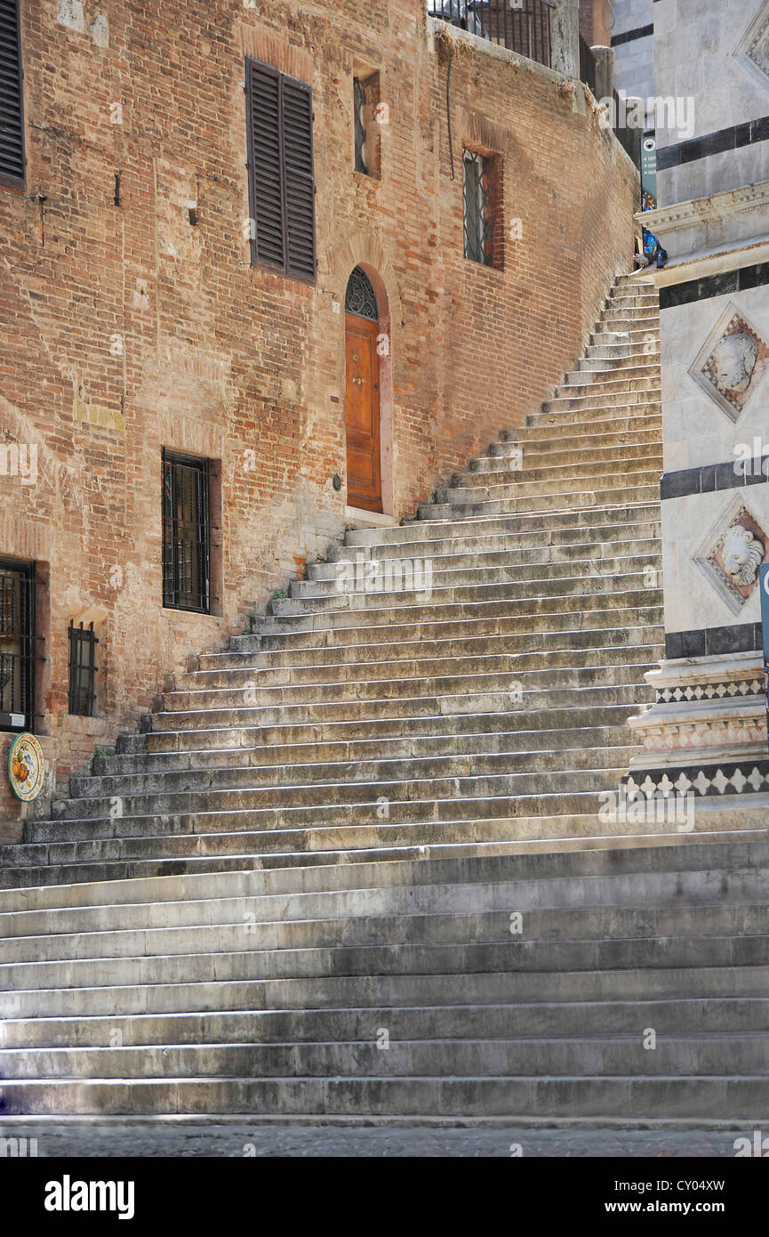 Scale per il Duomo di Siena, Siena, Toscana, Italia, Europa Foto stock -  Alamy