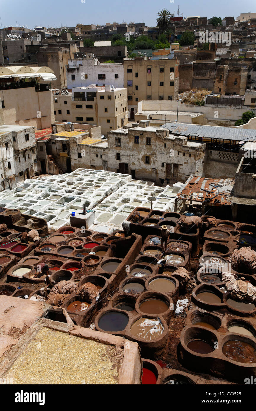 Concerie tradizionali e opere di colorante in Fès, Fez, Fès-Boulemane, Marocco, Africa del Nord, il Maghreb, Africa Foto Stock