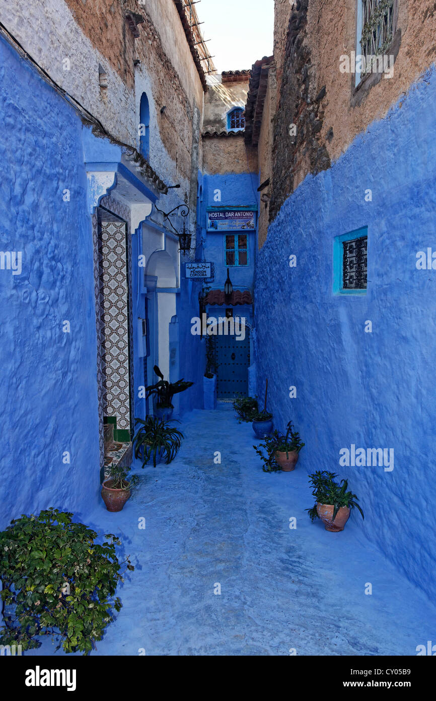 Stretto vicoletto e blue-lavato case nella città vecchia di Chefchaouen o Chaouen, Tanger-Tétouan, Marocco, Magreb Foto Stock