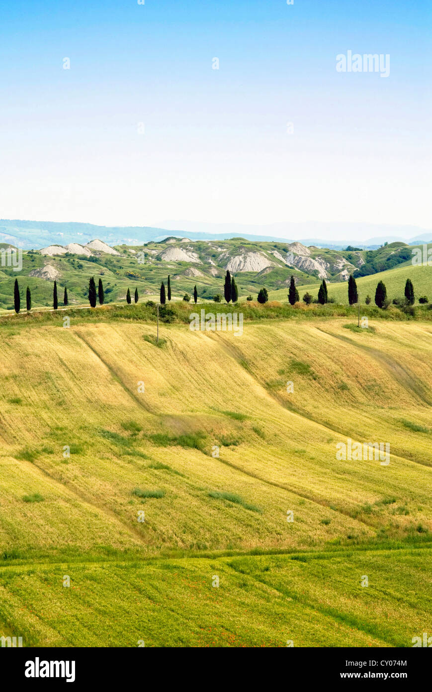 Crete senesi, vicino a Asciano, in provincia di Siena, Siena, Toscana, Italia, Europa Foto Stock