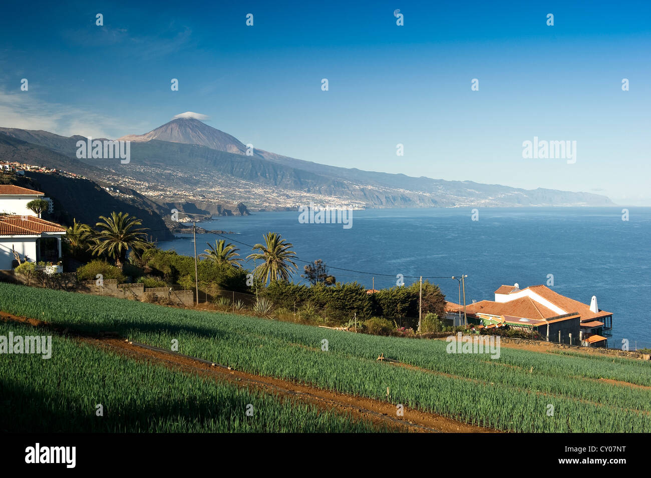 Costa Nord e la vetta del Monte Teide, vicino Tacoronte, Tenerife, Isole Canarie, Spagna, Europa Foto Stock