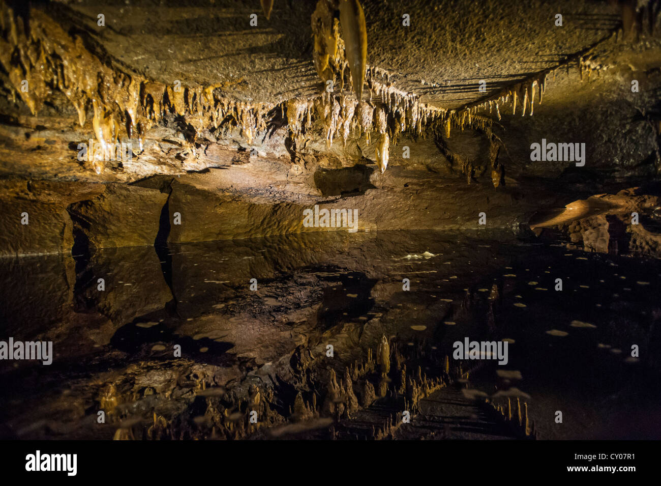 Grotte di Marble Arch, Tribunale di Firenze Demesme, Irlanda del Nord, Regno Unito, Europa Foto Stock