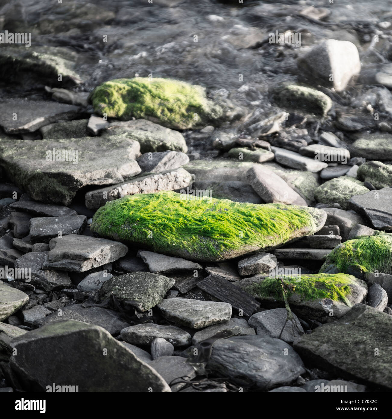 Moss-coperto rocce sulla spiaggia, Mizen Head, la maggior parte a sud-ovest del punto di Irlanda, nella contea di Cork, Repubblica di Irlanda, Europa Foto Stock