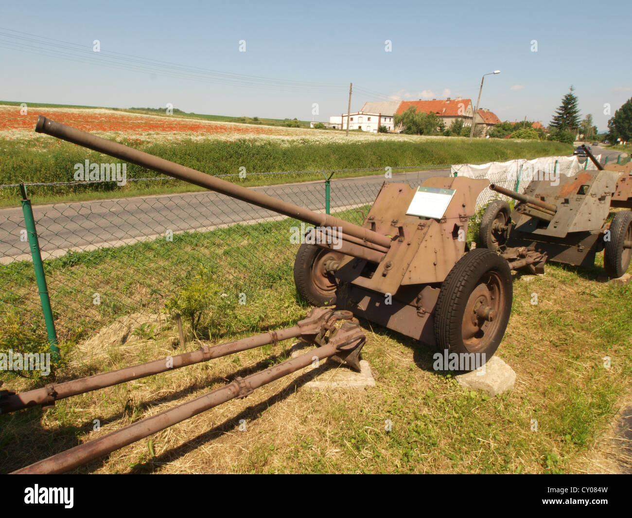 Piccolo cannone a Swidnica Foto Stock