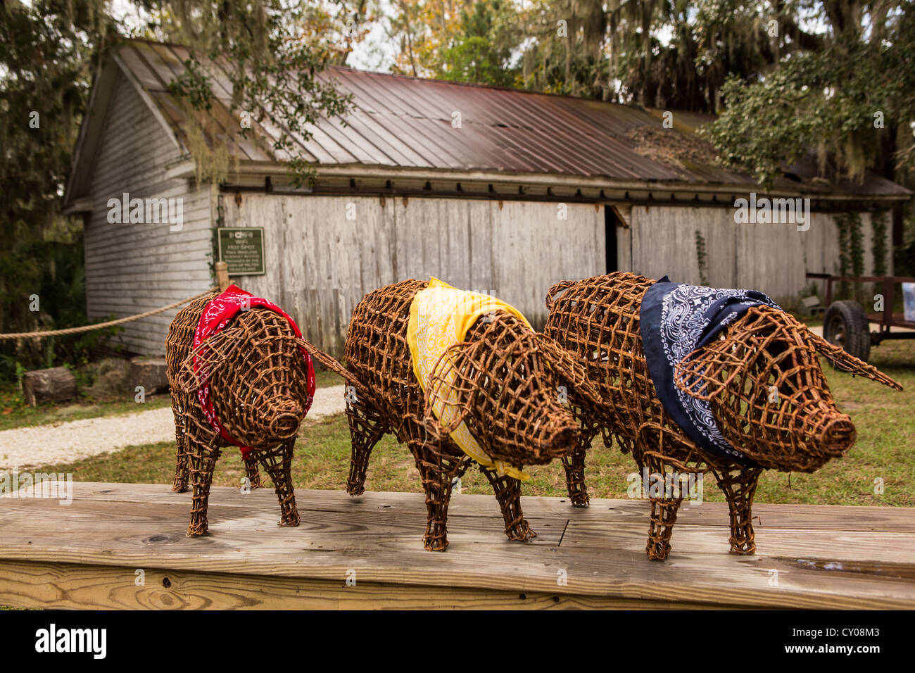 Suini decorativo e vecchio capannone a miele piantagione di avvisatore acustico su Hilton Head Island, SC Foto Stock