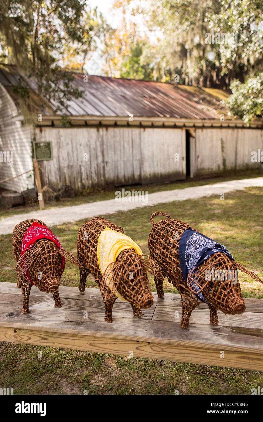 Suini decorativo e vecchio capannone a miele piantagione di avvisatore acustico su Hilton Head Island, SC Foto Stock