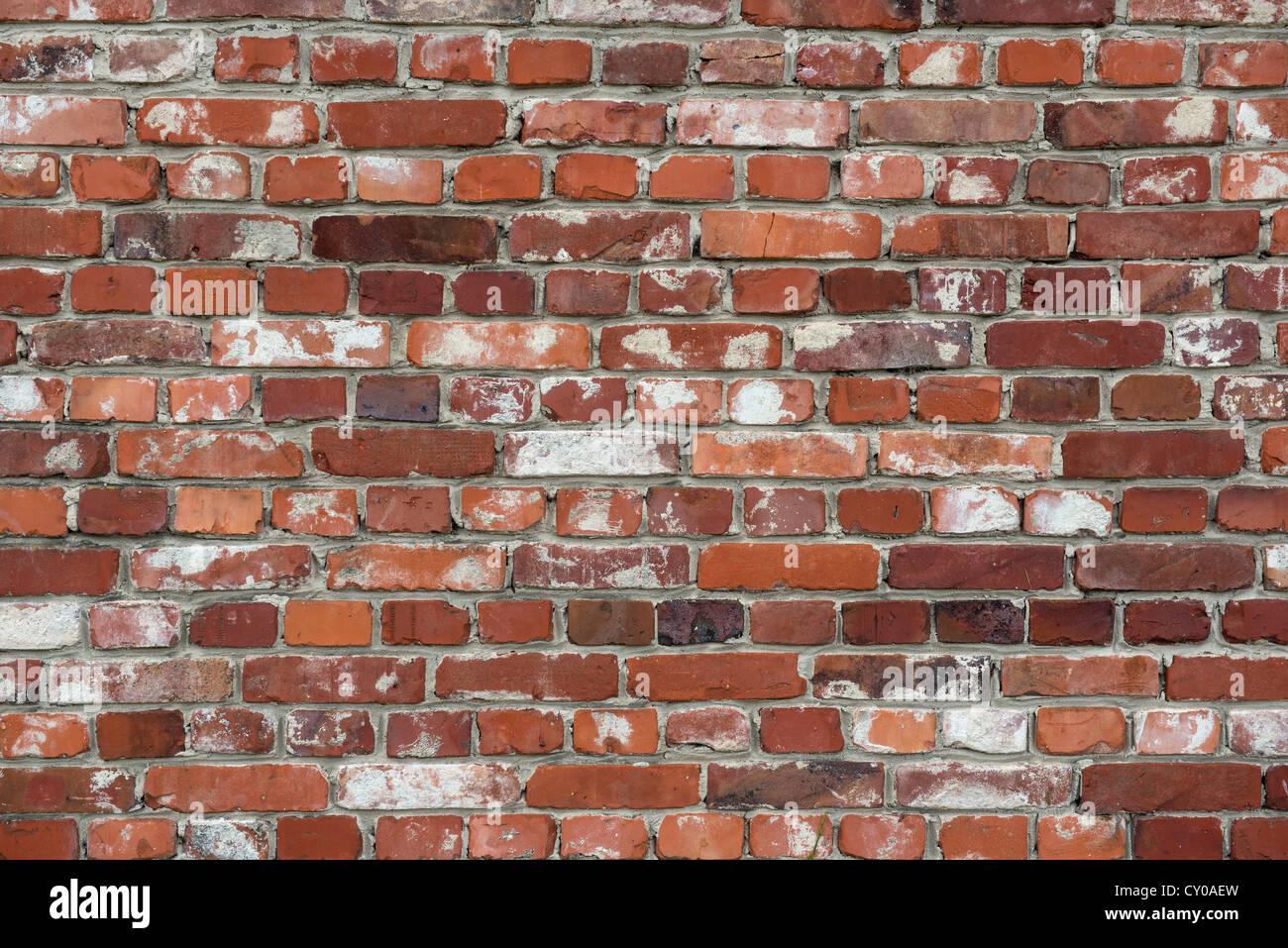 Vecchio muro di mattoni Foto Stock