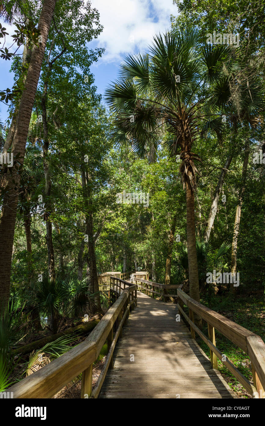 Il boardwalk accanto a molla blu eseguire nella molla blu parco statale, vicino alla Città di arancia, Central Florida, Stati Uniti d'America Foto Stock