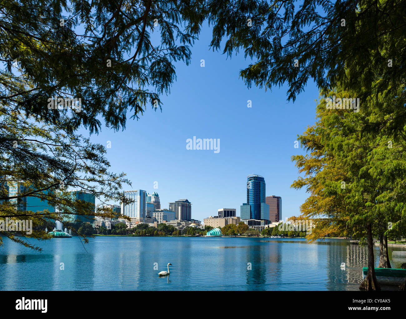 Il centro dello skyline della città da Lake Eola Park, Orlando, Florida centrale, STATI UNITI D'AMERICA Foto Stock