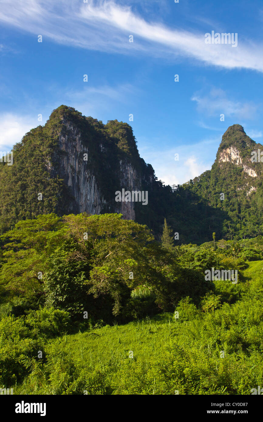 Nebbia di foresta pluviale fingers nella formazione carsica in Khao Sok NATIONAL PARK - SURAI THANI PROVENCE, Thailandia Foto Stock