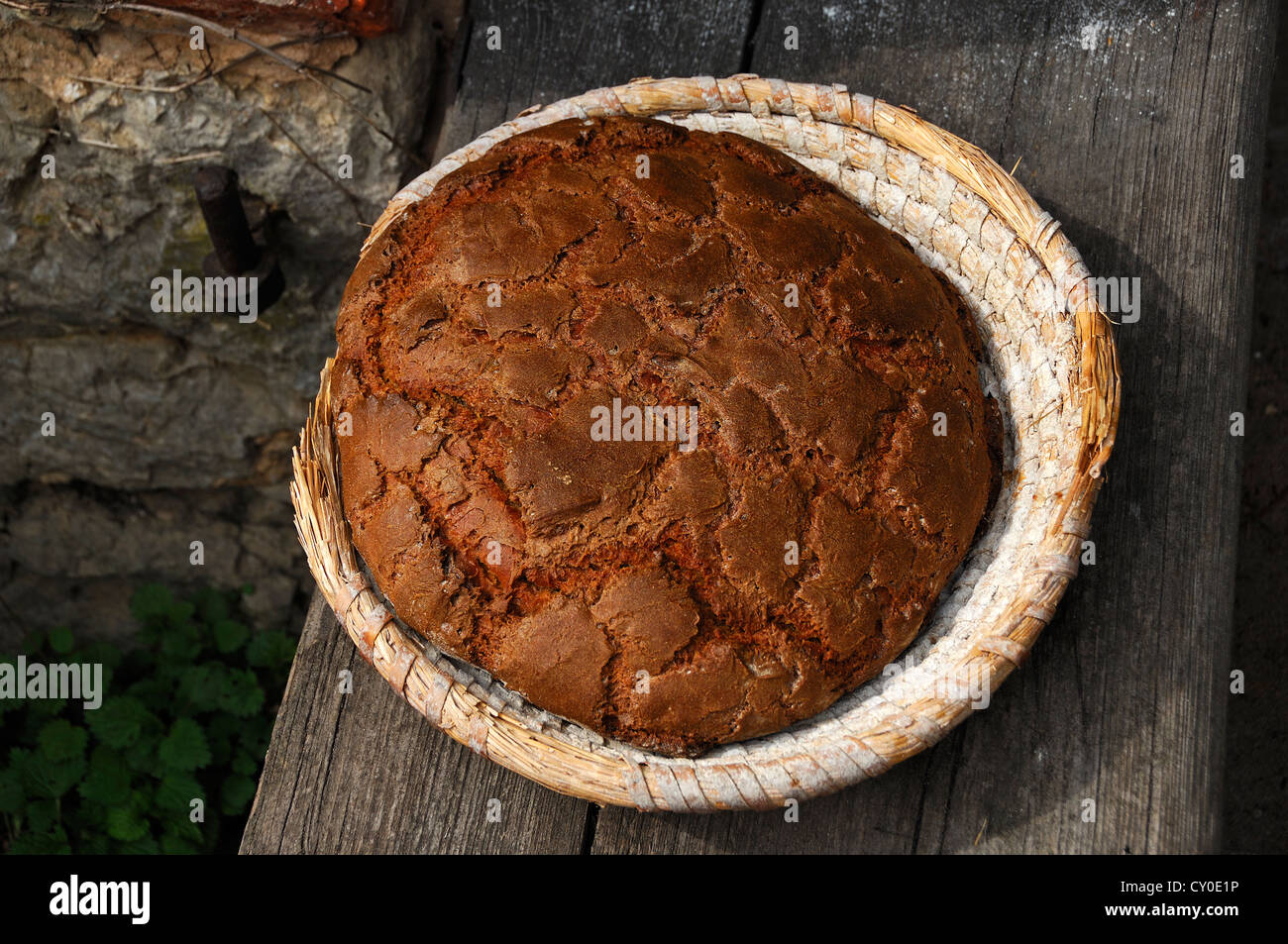 Forno-fresche, tre-pound pane contadino, focaccia, in un cestino del pane, Wildenfels, Alta Franconia, Bavaria Foto Stock