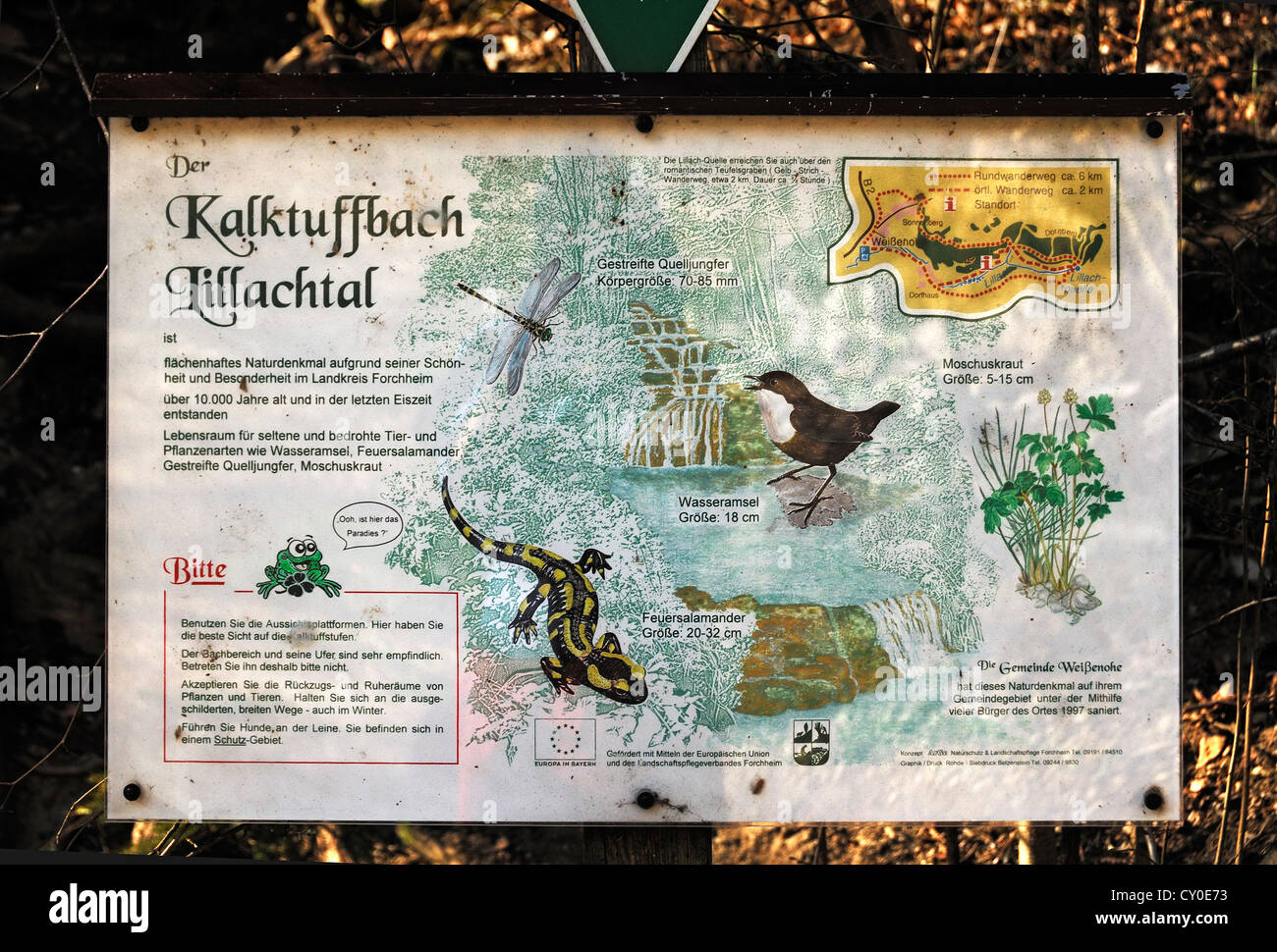 Scheda di informazioni circa la Kalktuffbach creek e gli animali che vivono nella Lillingquelle area di conservazione, Dorfhaus Foto Stock
