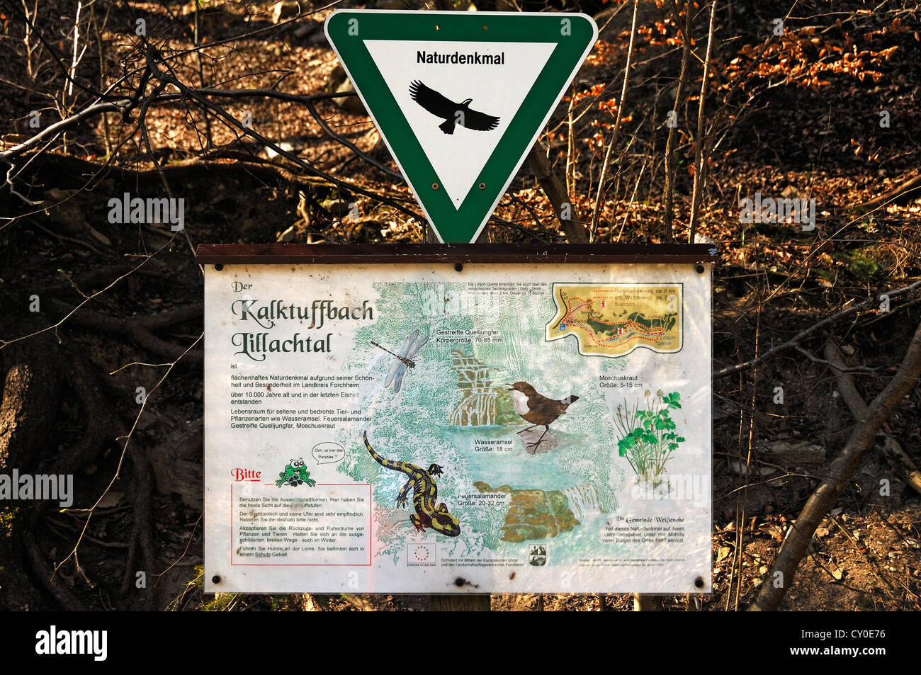 Scheda di informazioni circa la Kalktuffbach creek e gli animali che vivono nella Lillingquelle area di conservazione, Dorfhaus Foto Stock