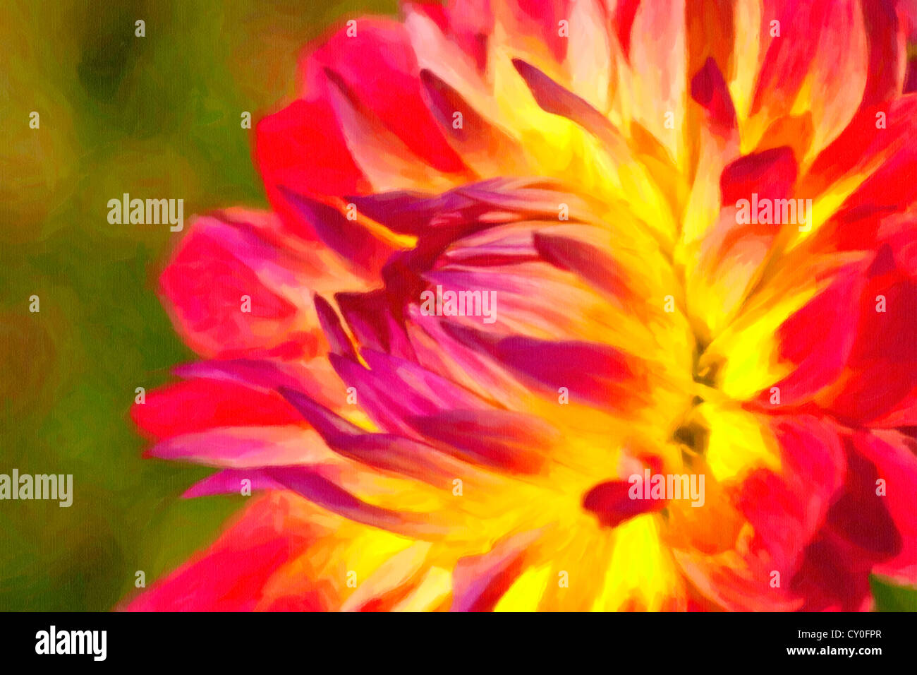 Dettaglio di un ibrido dahlia fiore nel giardino estivo. Profondità di campo. Foto Stock