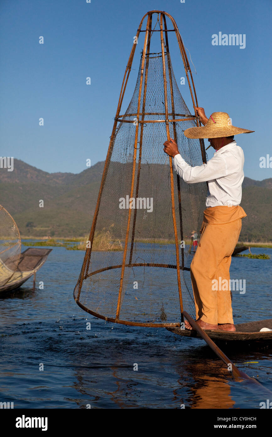 Myanmar Birmania. Pescatore, Lago Inle, Stato Shan, mettendo Net in luogo. Foto Stock
