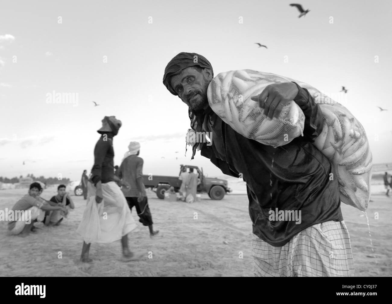 Il vecchio uomo prendendo un sacco di sardine, Salalah, Oman Foto Stock