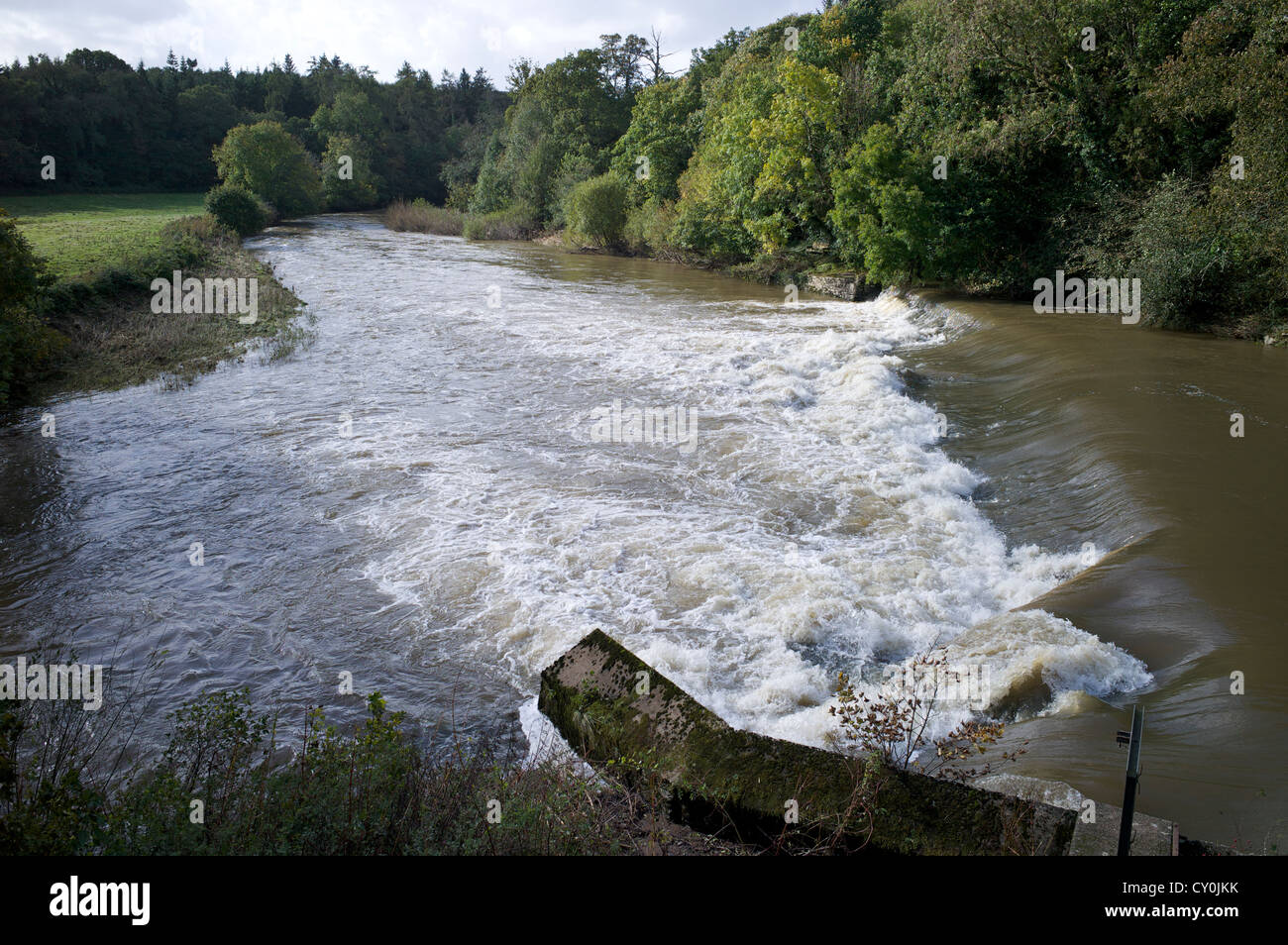 Weir sul fiume Torridge dal Tarka Trail, North Devon Regno Unito Foto Stock