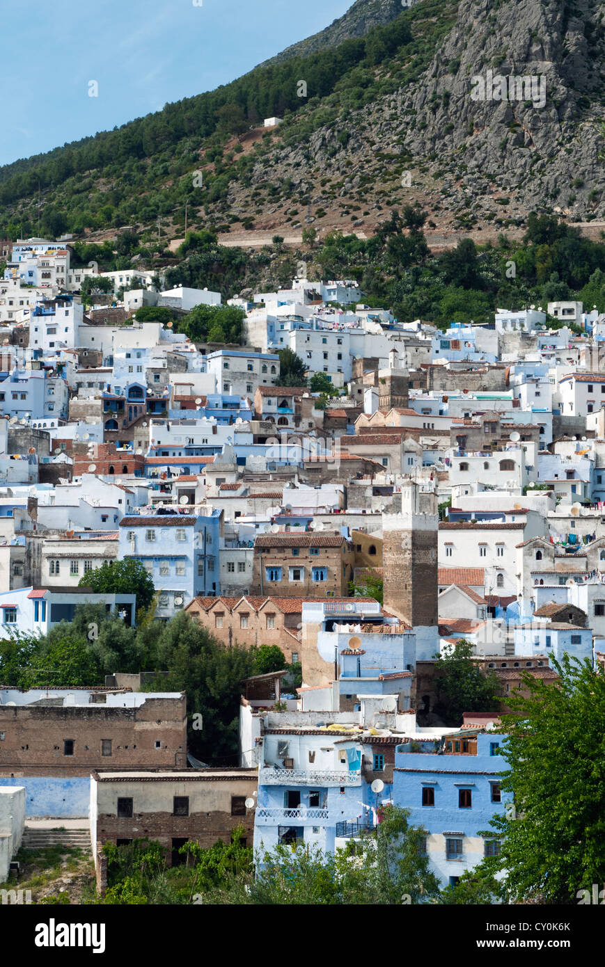 Vista della città, Chefchaouen (Chaouen), Regione Tangeri-Tetouan, Rif Mountains, Marocco, Africa Settentrionale, Africa Foto Stock