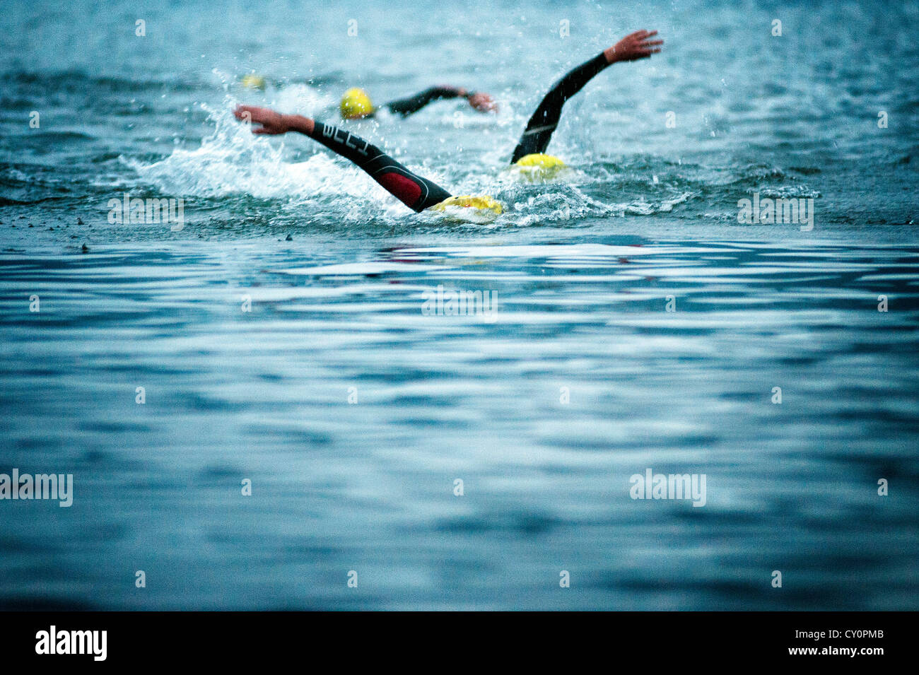 Gli atleti a seguito di ogni altri in acqua a Norseman Xtreme Triathlon 2012 Foto Stock