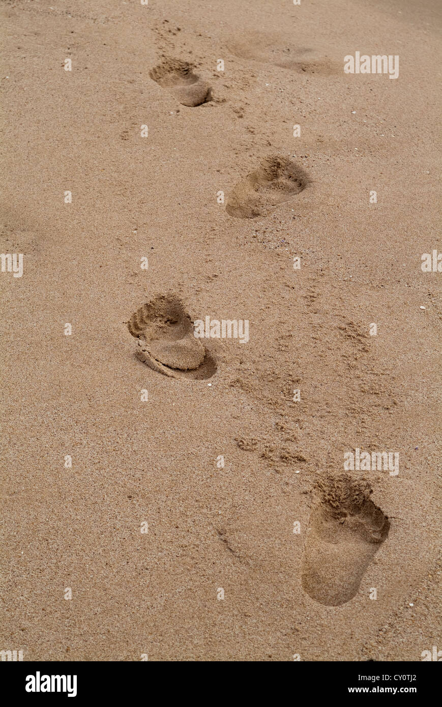 Orme nella sabbia, la Valldigna Tavernes, Spagna, Europa Foto Stock