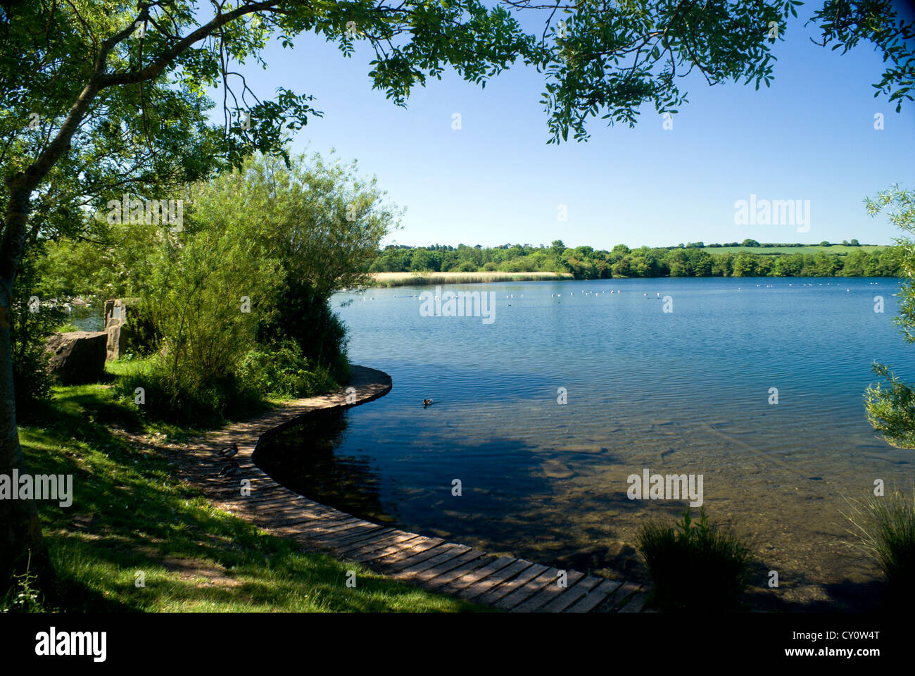 Cosmeston Lakes Country Park penarth Vale of Glamorgan Galles del Sud Foto Stock