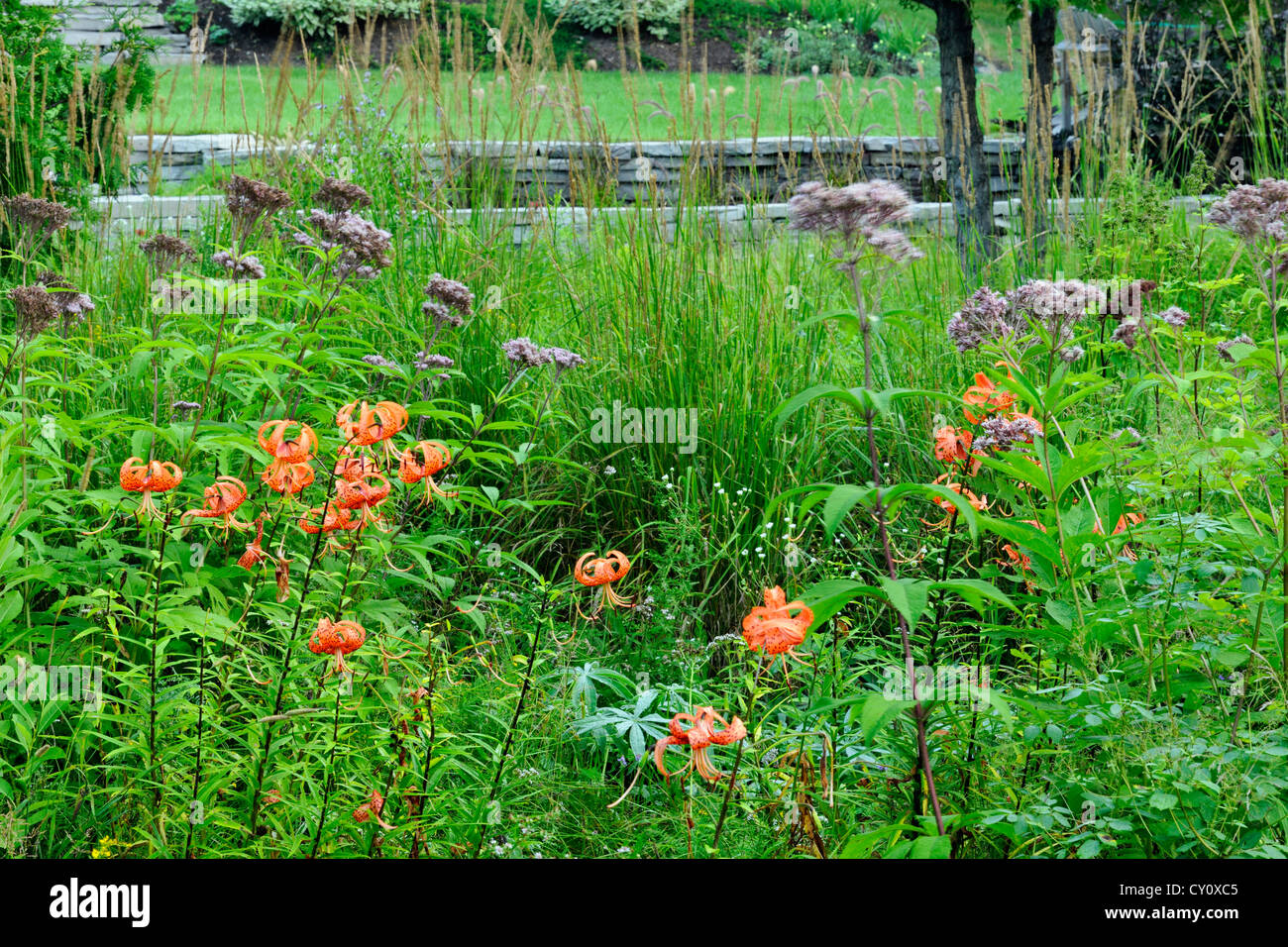 Naturalizzato giardino prato vicino a giardini formali e muri in pietra, maggiore Sudbury, Ontario, Canada Foto Stock