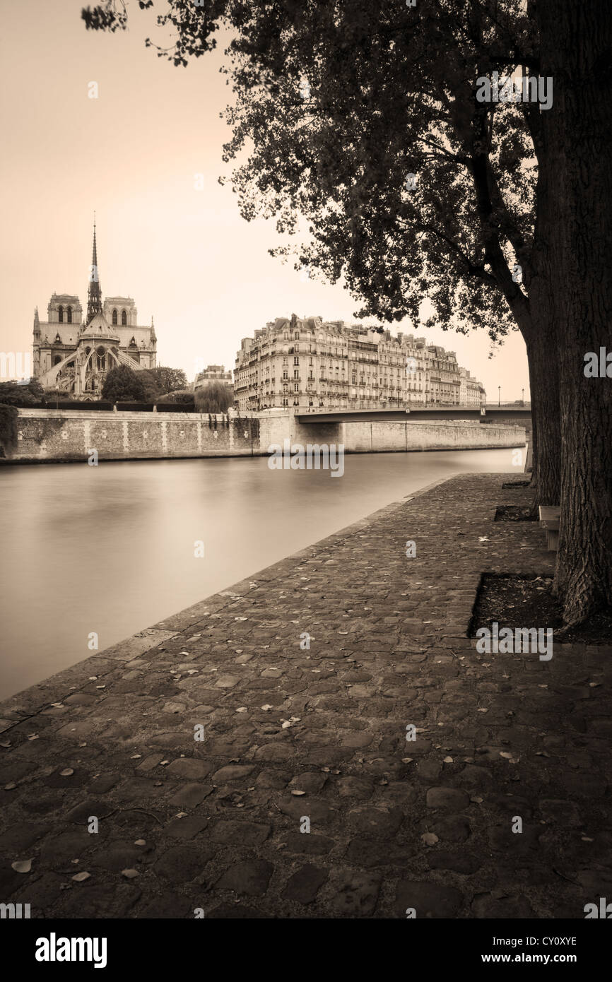Vista lungo la Senna con la cattedrale di Notre Dame di Parigi Francia Foto Stock