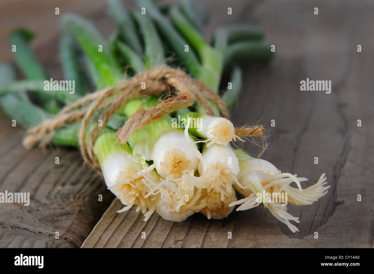 Primo piano di cipolle verdi su uno sfondo di legno. Lo scalogno sono legati con spago. Formato orizzontale con profondità di campo ridotta. Foto Stock