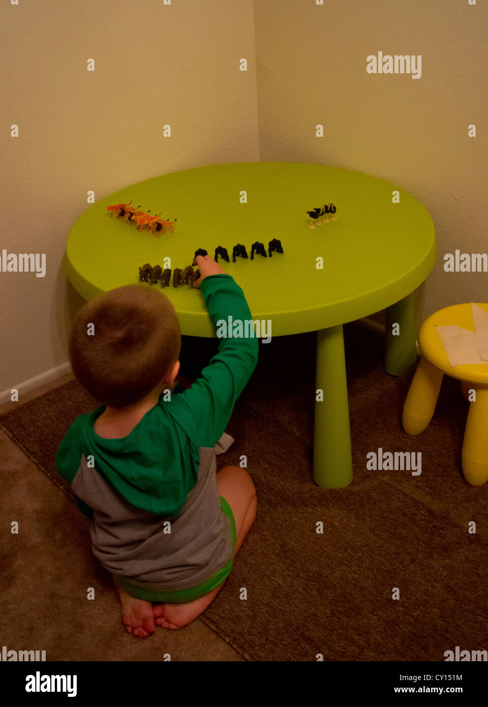 A cinque-anno-vecchio ragazzo autistico categorizza e linee il suo animale giocattoli. Foto Stock