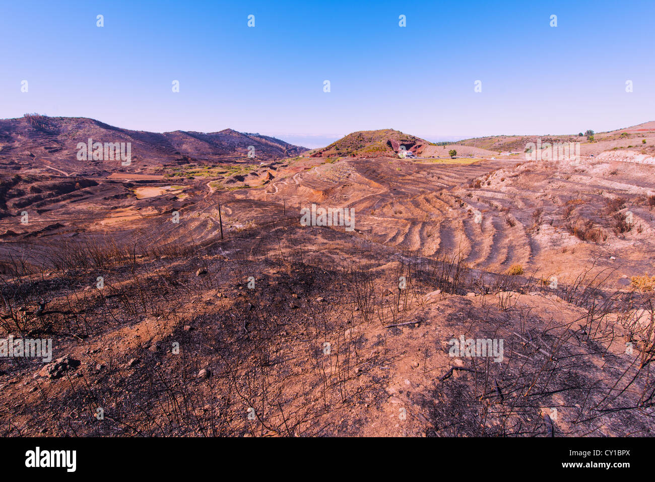 Paesaggio con i fuochi in Tenerife Foto Stock