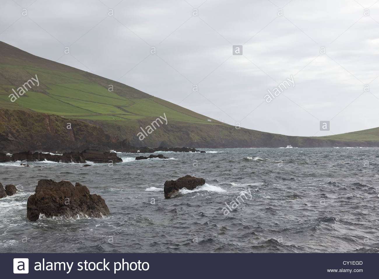 La campagna di Dingle e giunge fino a incontrare il mare a Dunquin. Foto Stock