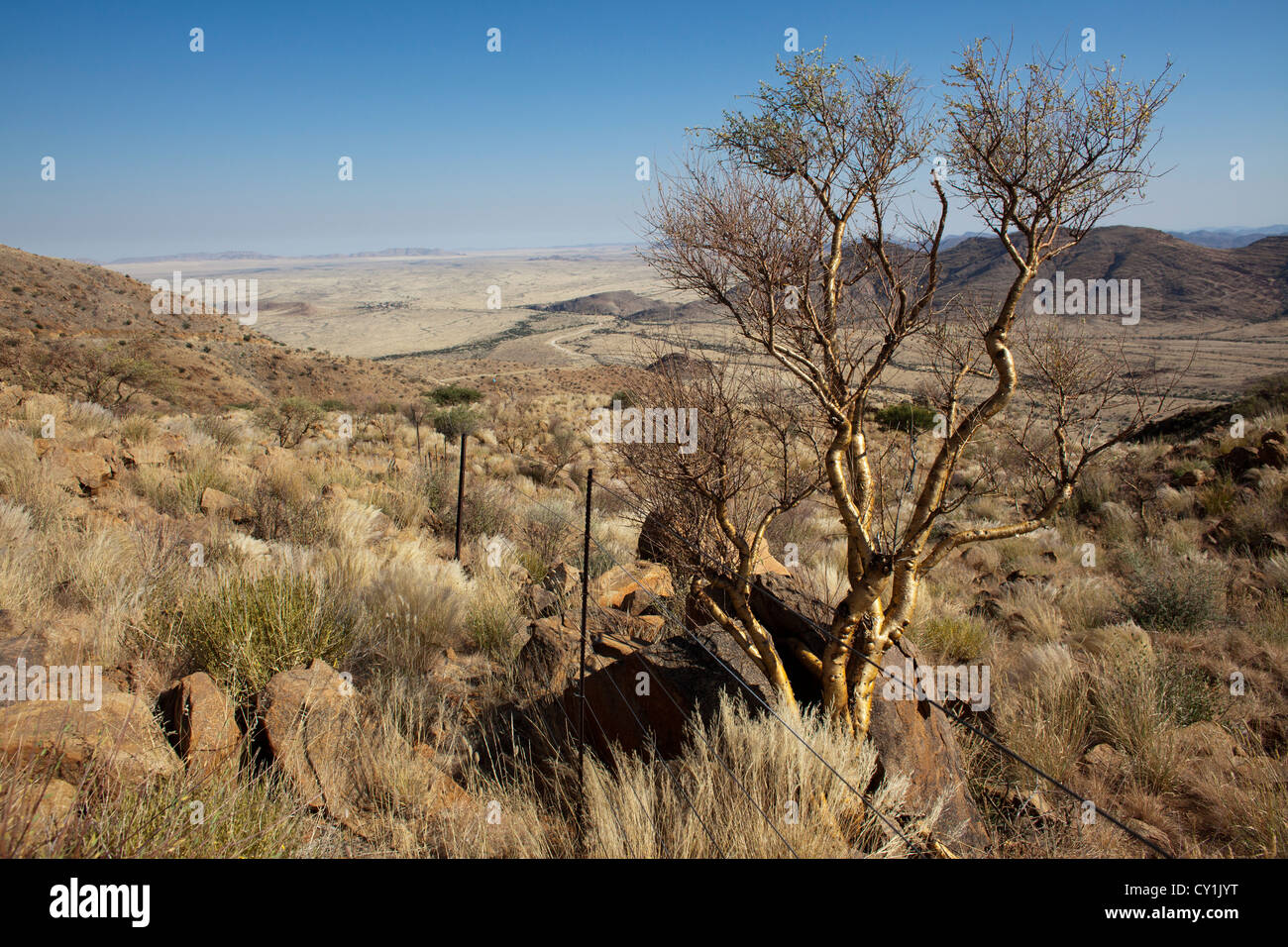 Vista, a sud di windhoek sul modo per solitair Foto Stock