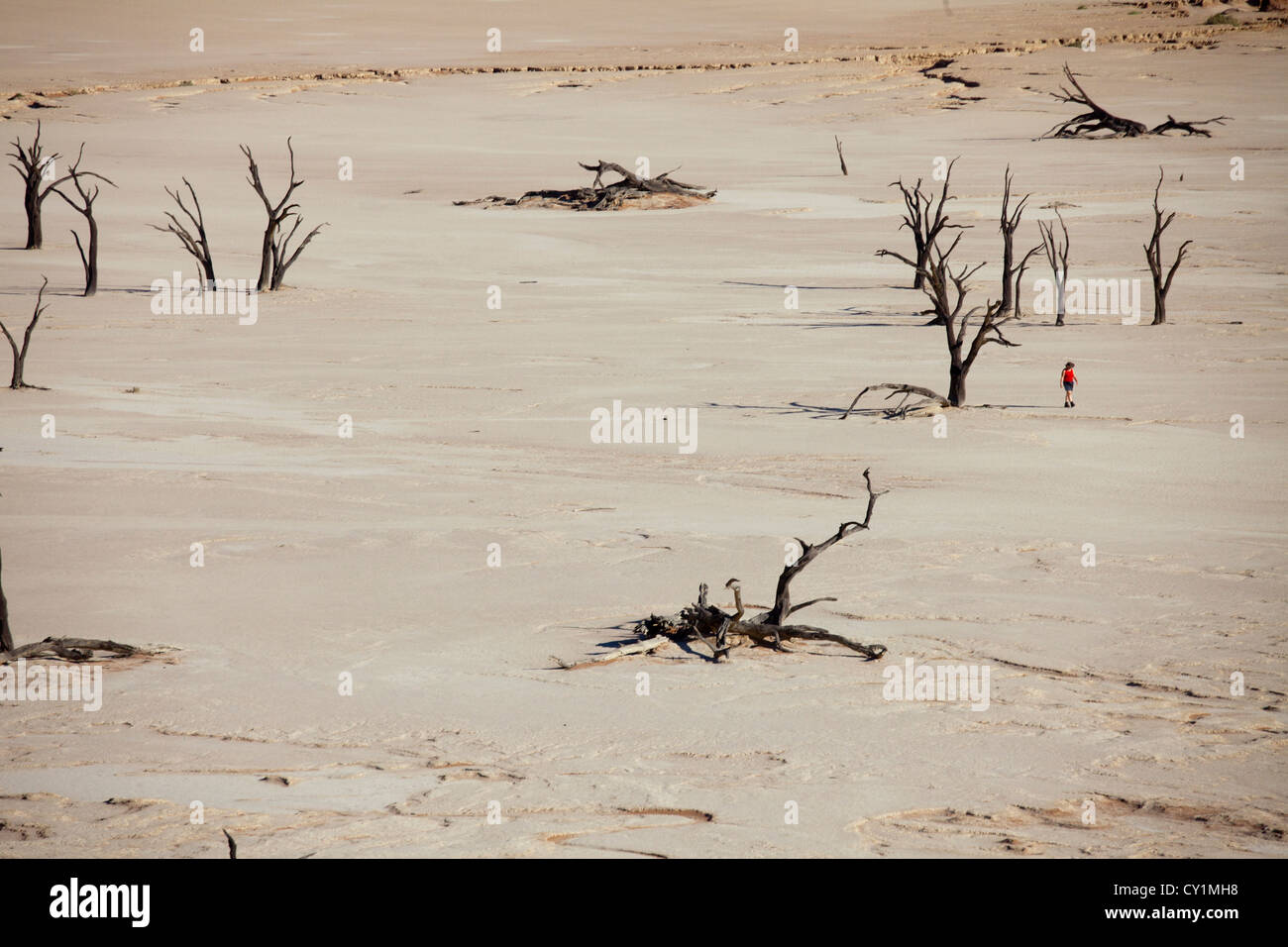 Sossusvlei (dead valley) nel Parco Namib-Naukluft, Namibia Foto Stock