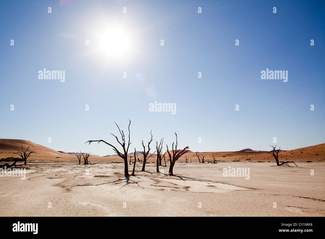 Sossusvlei (dead valley) nel Parco Namib-Naukluft, Namibia Foto Stock