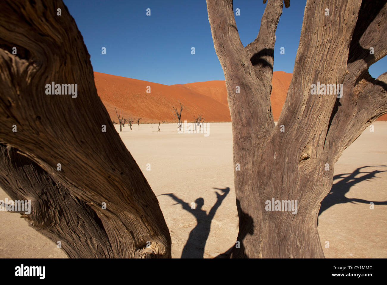 Sossusvlei (dead valley) nel Parco Namib-Naukluft, Namibia Foto Stock