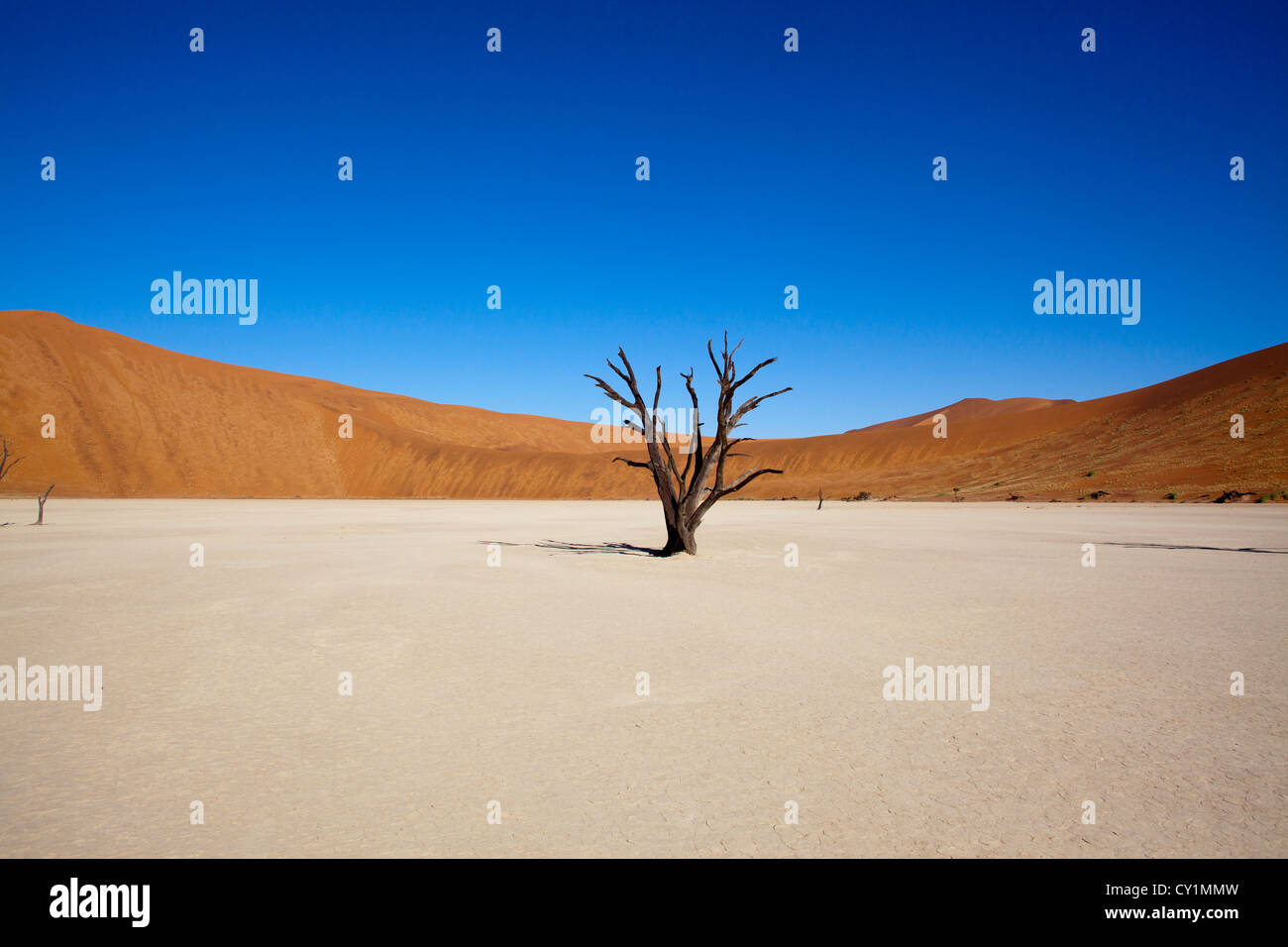 Sossusvlei (dead valley) nel Parco Namib-Naukluft, Namibia Foto Stock